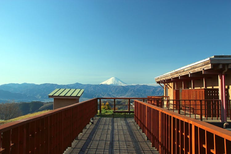 保健農園ホテルフフ山梨 写真1