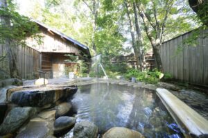 温泉山荘だいこんの花 写真