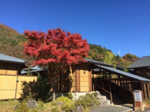 別亭やえ野 写真