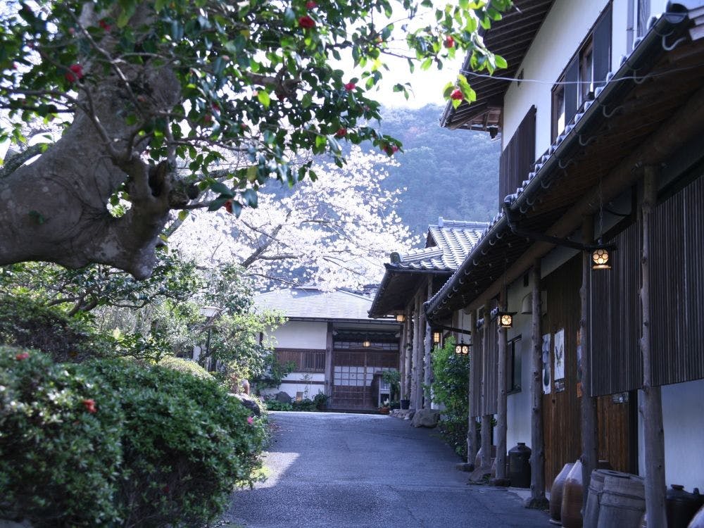 はたご小田温泉 写真1