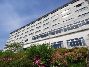 にっしょうかん新館　梅松鶴 写真