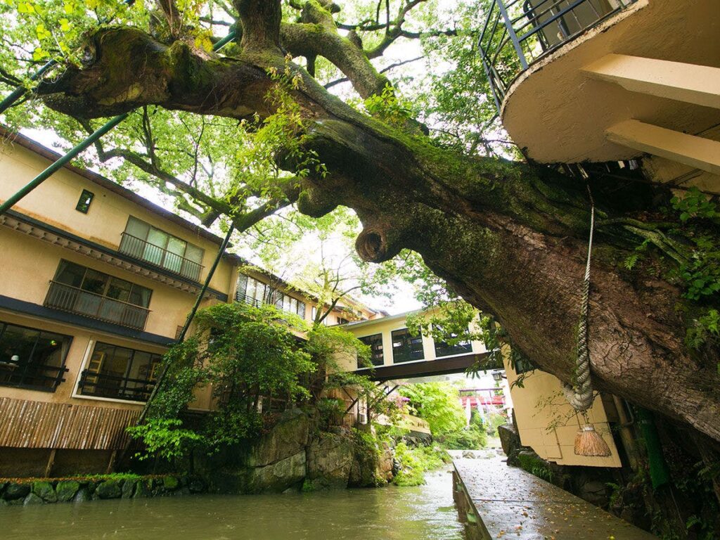 湯めぐりの宿 楠水閣